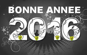 BONNE ANNEE A TOUS !